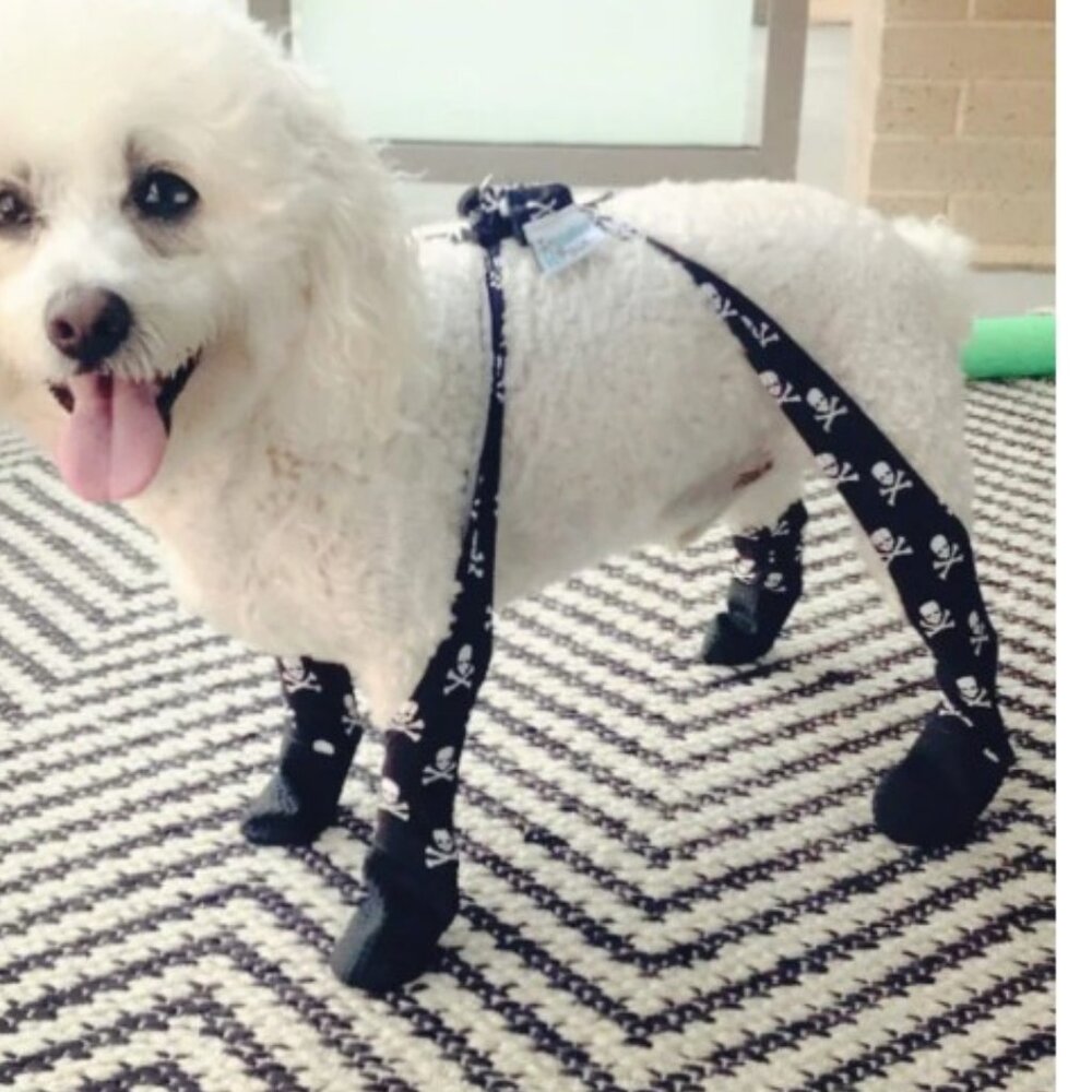 NWT Walkee Paws Easy-on boots skull pattern -XS Tall